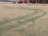 New-Mexico-7-09-066