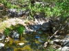 Point-of-Rocks-038