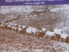 Silver-City-OCTA-023