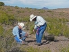Don Buck and Richard Greene examining the trail
