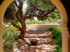 Tumacacori-Garden